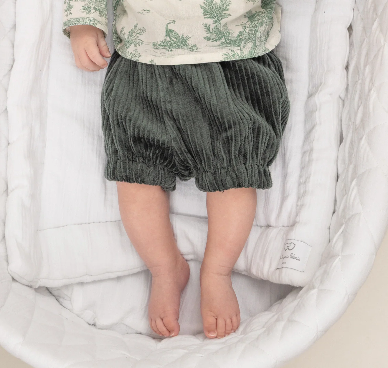 Bloomer Jules - Velours – Image 3